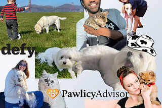 Pawlicy - A Friendship Story