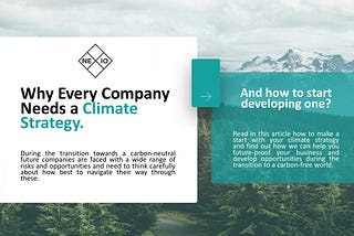 Why Every Company Needs a Climate Strategy