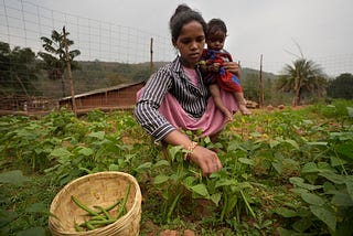 Through kitchen gardens, we are making our diets healthy, says Sajita leading nutritional change