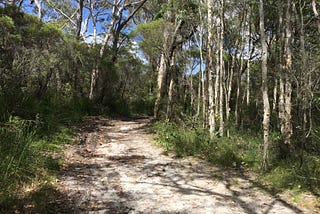 On nature journaling