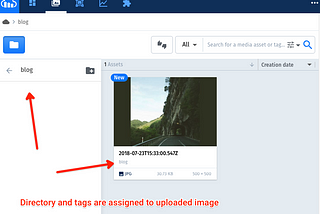 Image Uploading with Node & Cloudinary