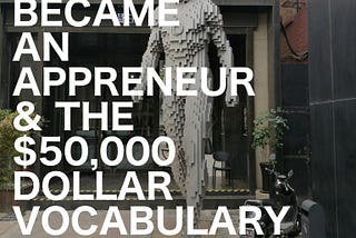 How I became an Appreneur and the $50,000 dollar vocabulary app: Part two