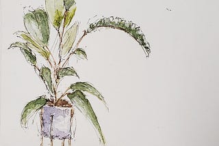 Side Plants