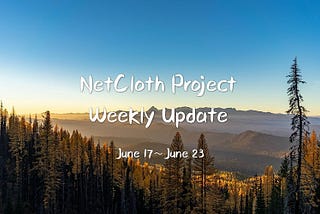 NetCloth Project Weekly Update (June 17~ June 23)