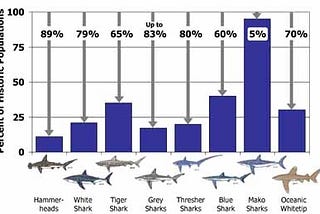 The Impact of Overfishing on Shark Populations