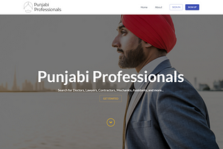 Introducing Punjabi Professionals