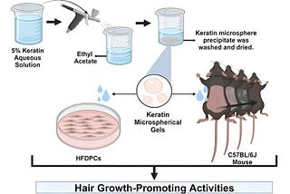 Hair Loss Hope: Tiny Keratin Balls Show Promise in Early Research