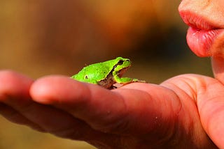 woman holding a frog close to her mouth