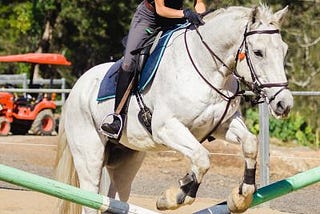 Horse Riding Lessons l Horse Riding Gold Coast l Gold Coast Equestrian Centre l Riding Schools…