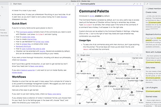 Obsidian’s multi-pane editor and graph view