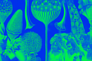 Vintage illustrations of slime mould superimposed with photographs of women and queer movements in Asia and the Pacific. The image is in green and blue.
