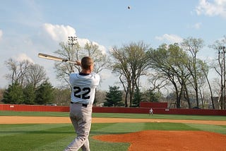 A Tentative Fungo In A Field of Surmise