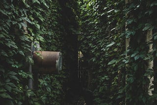 Niger, colonialism, and possible war