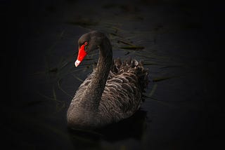 Is Tether a black swan?