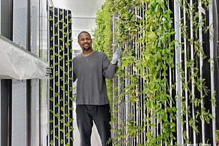 Mario saw container farming as a chance to become his own boss