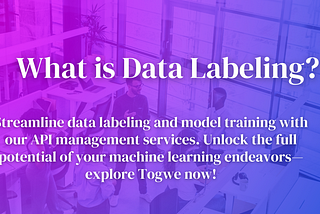What is Data Labeling?
