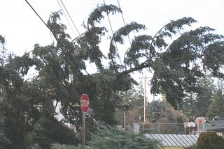Investing in Resilience: Strategies for Successful Storm Response and Management