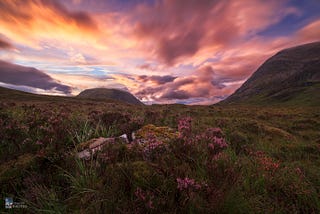 Playing with elevation in Android 🥧 (part 2)