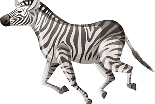 Our Favourite Startup Animal? Zebras!