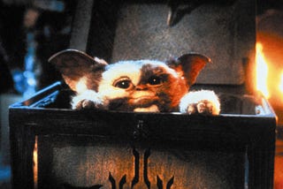 Participation Culture is like Gizmo