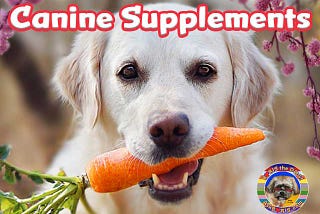 Dog supplements and multivitamins at the AskBoris.come website.