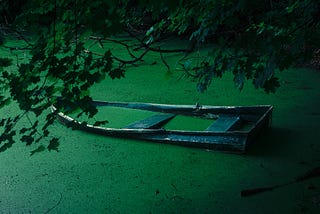 mostly sunken row boat in an algae-covered pond.