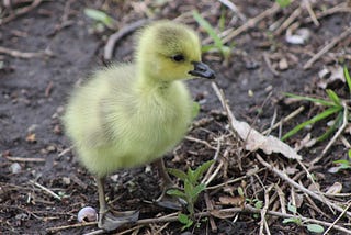 What Better Way to Spend Mother’s Day Than In Nature?