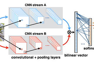 Fine Grained Image Classification using Bilinear Convolutional Neural Networks - Tensorflow V2