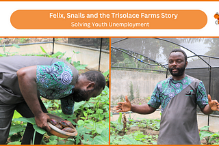 Felix, Snails and the Trisolace Farms Story: Solving Youth Unemployment