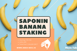 ✨Microtuber Presents Saponin Banana Staking, 120% APR, Seed-box.io