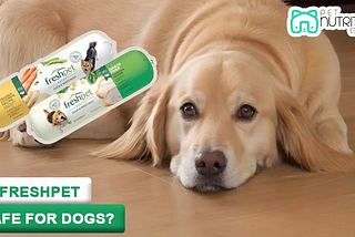 Freshpet Killed My Dog: Unveiling the Truth
