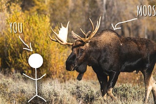How to Fight a Moose