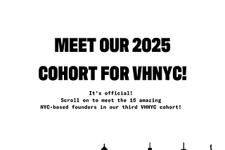 Meet the 2025 cohort of VHNYC