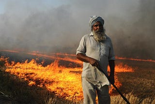 Why do farmers burn the fields?