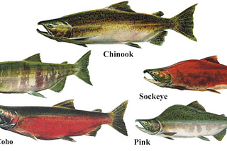 Territorial Waters