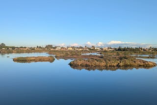 Coastal marsh with still blue water, low grassy islands, and distant houses under a clear blue sky.