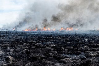 Entre incendios: una foto, más que mil palabras