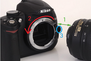 So, You Bought Your First DSLR Camera…