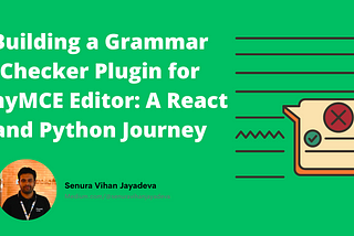 Building a Grammar Checker Plugin for TinyMCE Editor: A React and Python Journey
