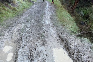 Take the Road Less Traveled to Enrich Your Life. It Works.