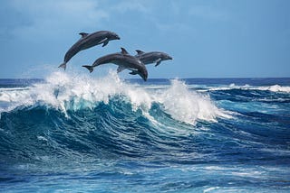 The Ocean: Wild and Beautiful, Dangerous and Timeless