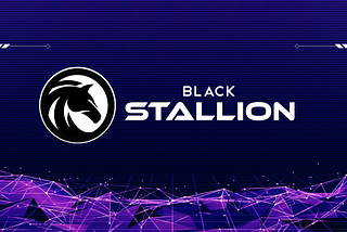 Black Stallion Path to Success