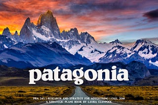 How Can We Make Better Products from the Questions that Patagonia Uses in their Design Philosophy?