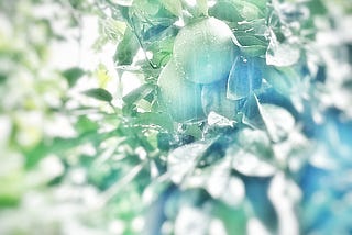 Photography: A Way to Live Lightly