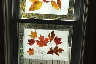 Make Your Own “Stained Glass” Windows With Autumn Leaves