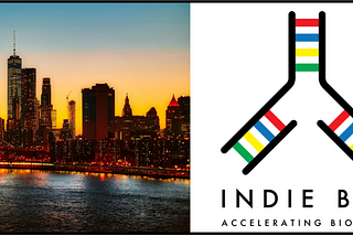 Skyline of New York City at Sunset next to the IndieBio logo