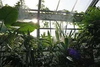 How to Choose an Email Marketing Service?