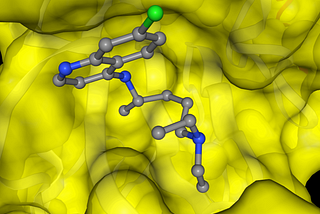 Protein Modeling & Drug Docking Studies