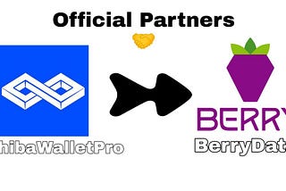 BIG BANG!💥 ShibaWalletPro and BerryData reached a collaboration officially🎉