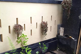 Kegiatan Senin, dari Ngompos ke Buat Bedeng Dadakan
